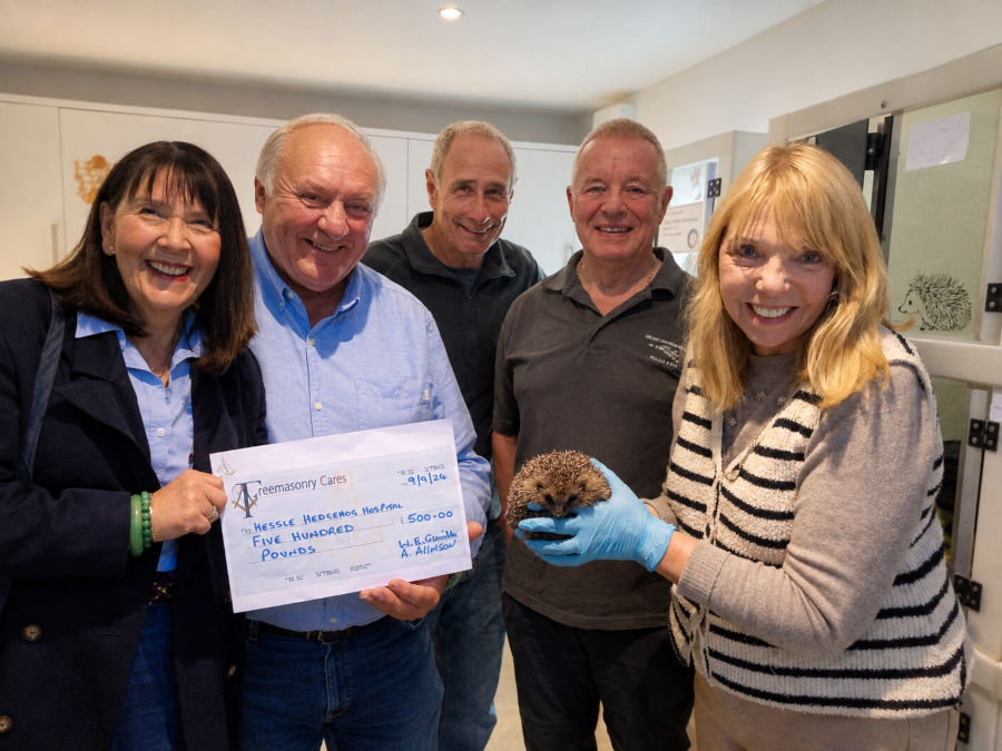 Hedgehogs donation